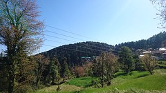 Dharamkot view