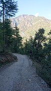 road to nowhere