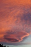 DSC00391
