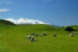 DSC01104