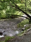 IMG_4631