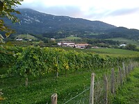 Oñati