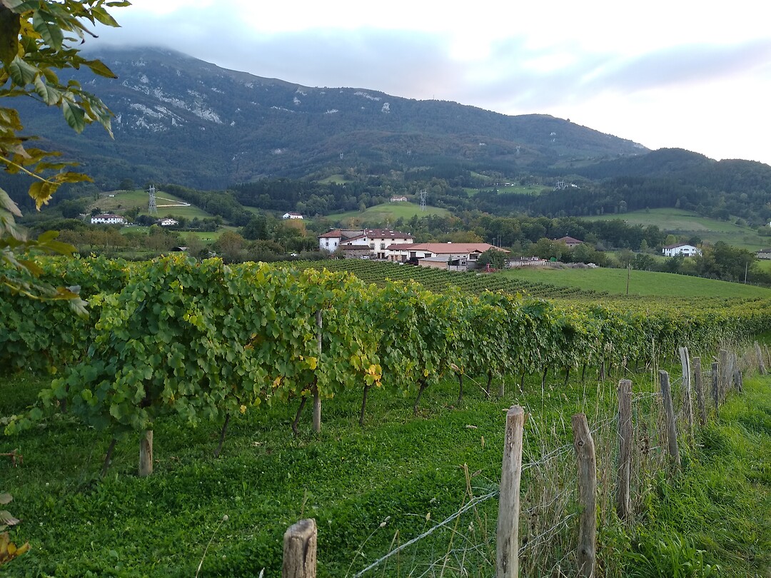 Oñati