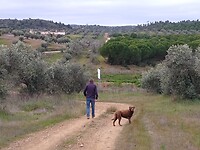 Wandeling Amieira