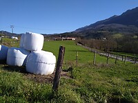 Oñati