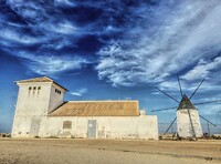 Molino