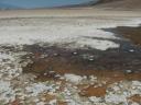 HPIM3691