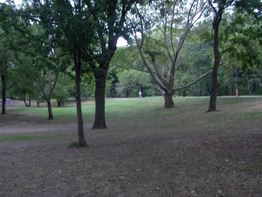 HPIM4223