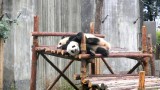 te schattig, toch?!
