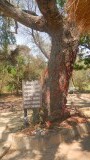 killing fields Choeng Ek