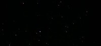 1000040611