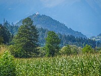 DSC00163