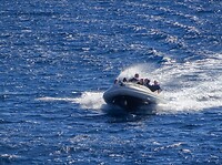 DSC00781