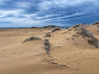 IMG_2385