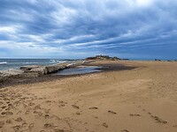 IMG_2386