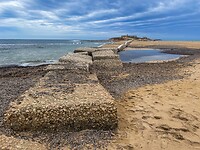 IMG_2387