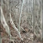 Vlog about my spot in nature