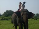 Olifant rijden