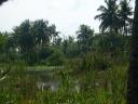 Backwater cruise