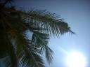 Marari beach!
