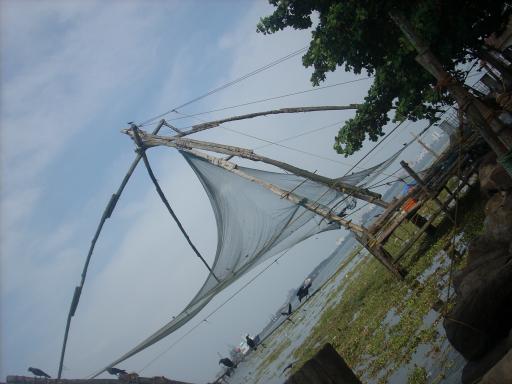 Visnetten in Ford Cochin