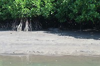 IMG_2256