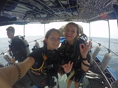 Diving at Sail Rock