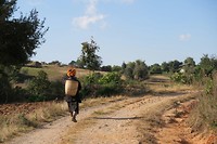 The local life in the small villages of Myanmar