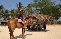 Horse riding at the beach