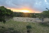 IMG_2110 - Copy