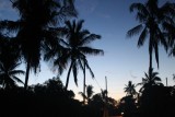 IMG_2301