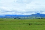 IMG_2690