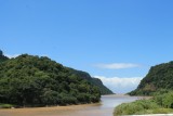 IMG_2889