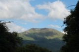 IMG_3187