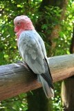 IMG_3360
