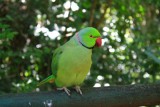 IMG_3362