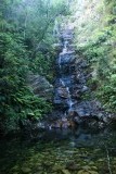 IMG_3445
