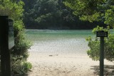 IMG_3520