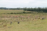 IMG_3572