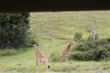 IMG_3614