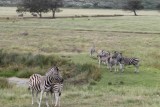 IMG_3622