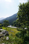 DSC03042