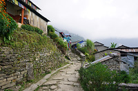 DSC03110