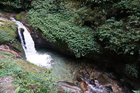 DSC03133