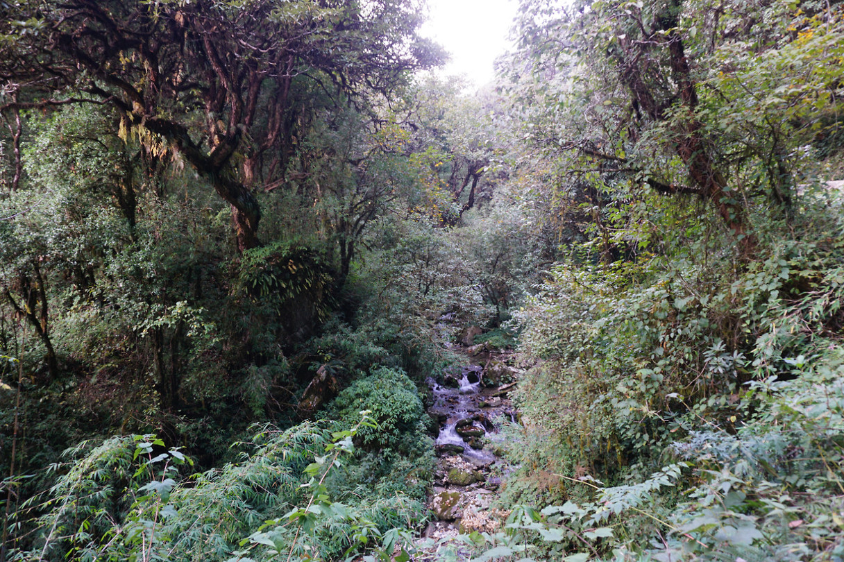 DSC03145