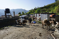 DSC03362