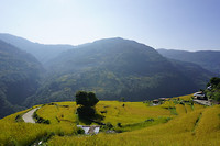 DSC03363