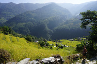 DSC03367