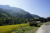 DSC03372