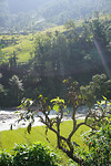 DSC03379